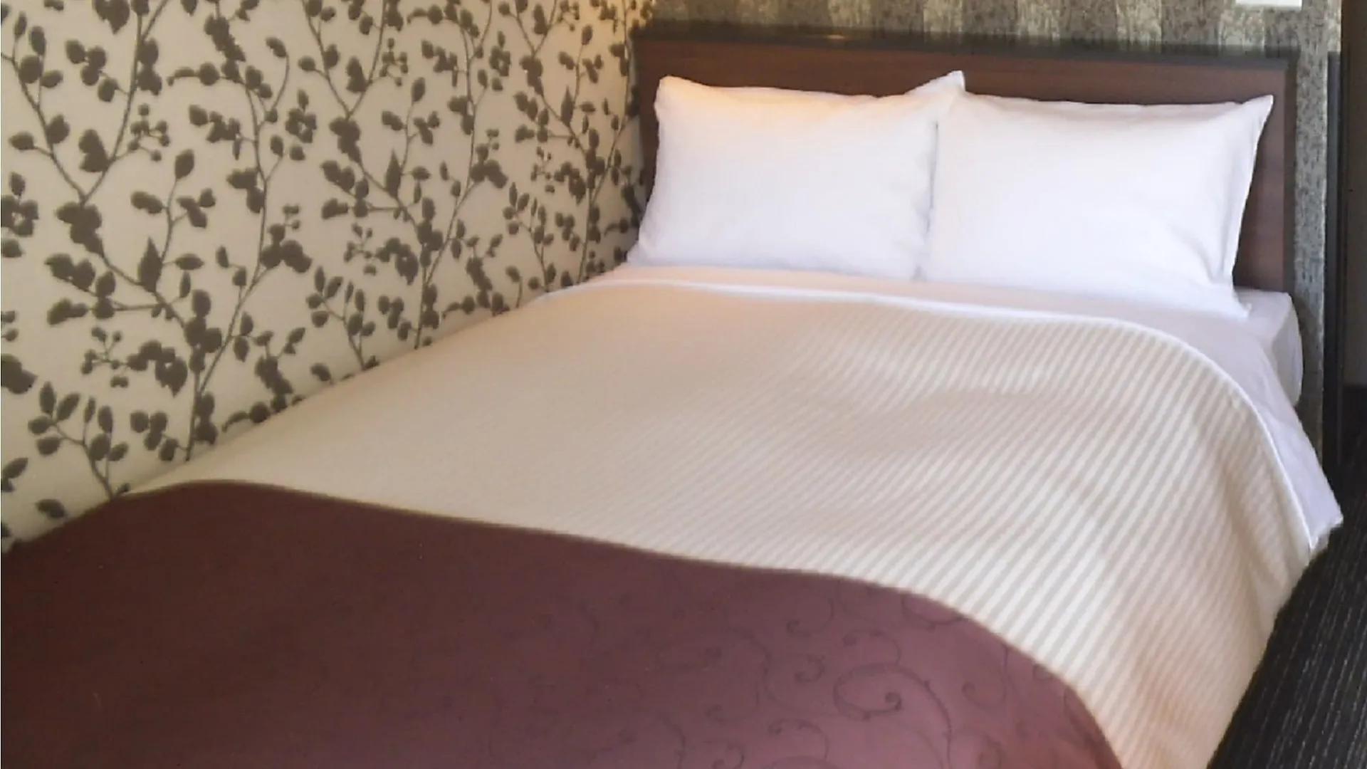 Ai Hotel Keikyu Kamata Tokyo